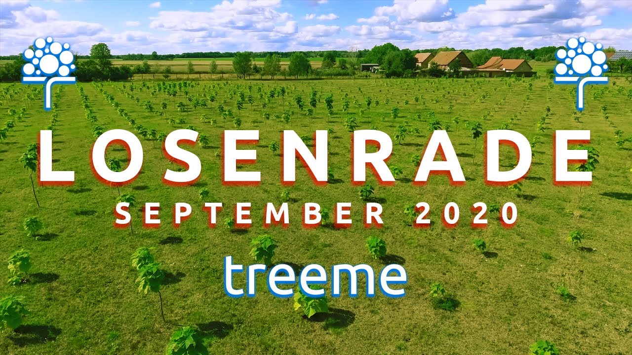 treeme.tv - Losenrade im September 2020 von oben