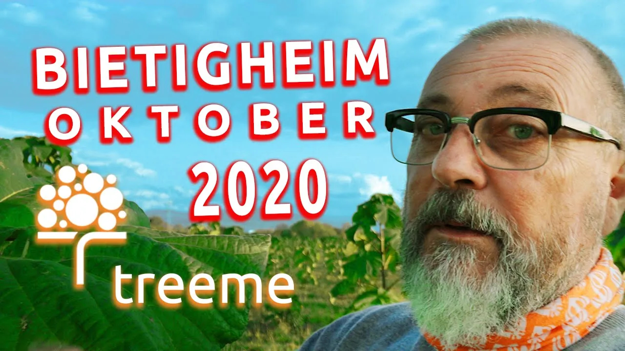 treeme.tv - News Bietigheim Oktober 2020